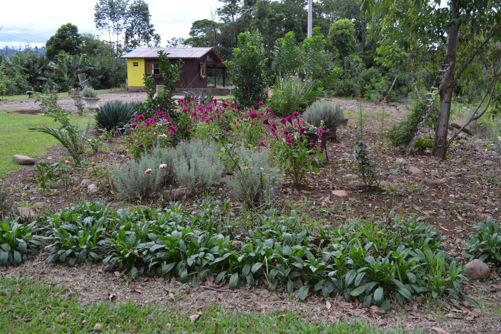 Dos Sonhos - Holiday home Timbe do Sul